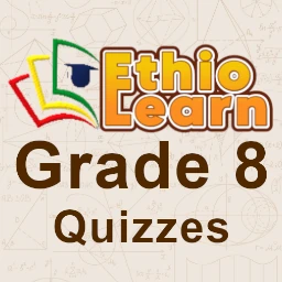 Ethio Learn  Grade 8 Quizzes BinaryAbyssinia Ethiopian Mobile Game